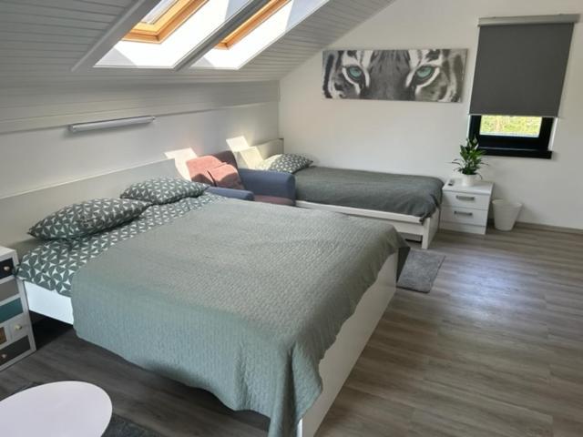 A&E Apartment Ljubljana Bagian luar foto